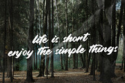 Alongside - Brush Handwritten Font, a Script Font by Arendxstudio (Thumbnail 14 of 15)