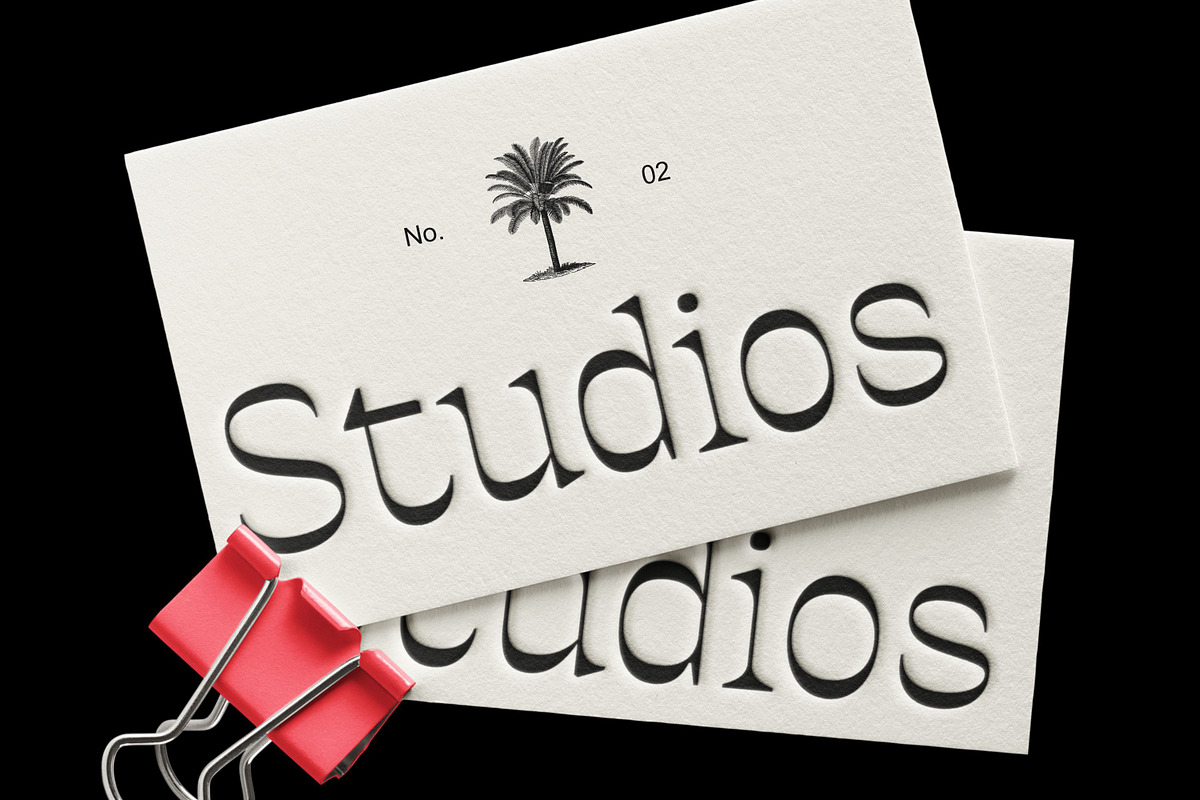 Ronders Reverse Contrast Font, a Serif Font by Genetype (Photo 4 of 10)
