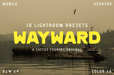 Wayward Lightroom Presets