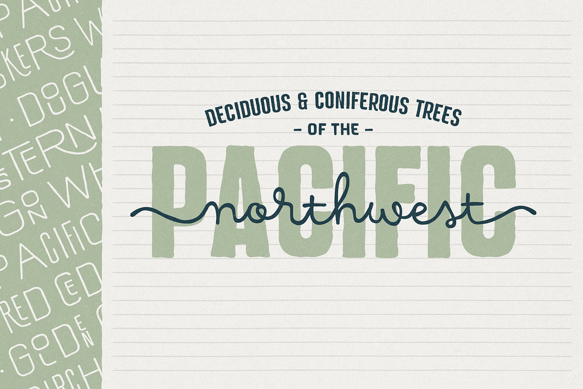 Hawkes Handmade Collection, a Sans Serif Font by Kimmy Design (Photo 12 of 22)