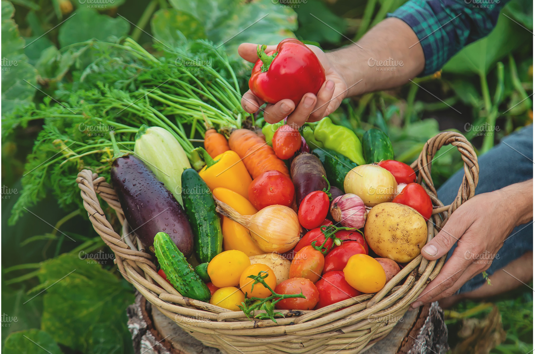 A man with a harvest of vegetables, a Food & Drink Photo by yanadjana