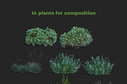Artistic Nature Mockup #01, a Product Mockup by ARKS ACADEMY (Thumbnail 11 of 11)