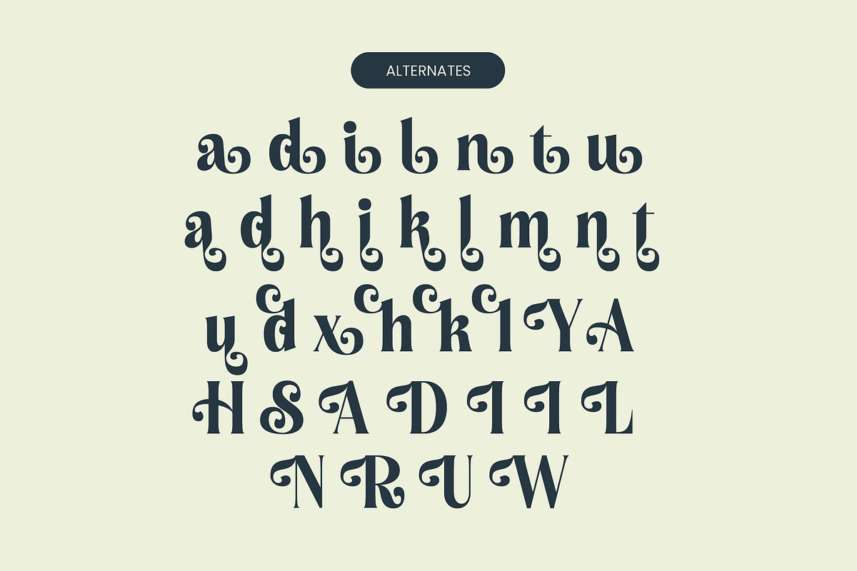 Royalti Cindles Elegant Serif, a Serif Font by timelesstype.co (Photo 12 of 14)