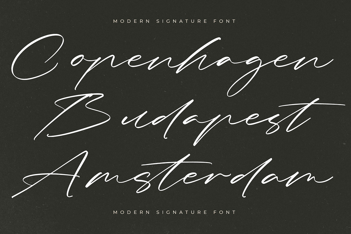 Kingdome Daylight Modern Signature, a Script Font by stylishtype.co (Photo 13 of 20)