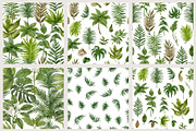 Tropical Botanical Seamless Pattern, a Pattern Graphic by mila_leev (Thumbnail 8 of 8)