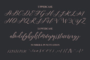 Mordane, a Script Font by Gatype (Thumbnail 9 of 10)