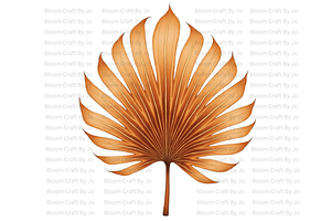 Dried Palm Leaves