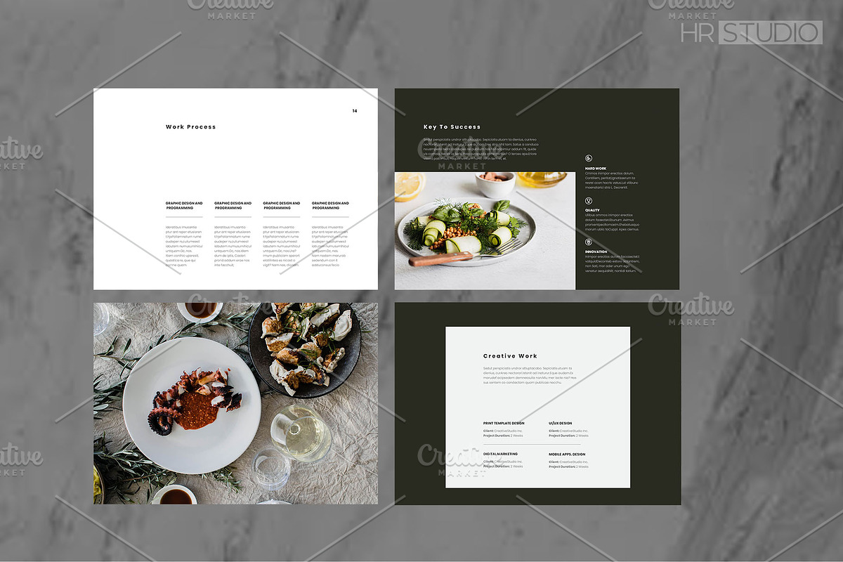 Project Proposal  |  Adobe InDesign, a Brochure Template by HR Studio (Photo 5 of 8)