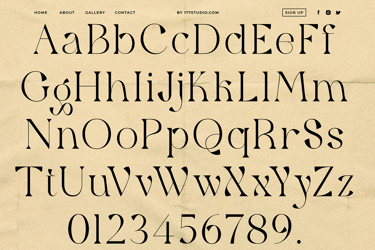 Qaitan – Modern Serif Font, a Serif Font by 177Studio (Photo 9 of 9)