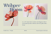 Berkara - Stylish Serif Display, a Serif Font by Pandeka Studio (Thumbnail 3 of 9)
