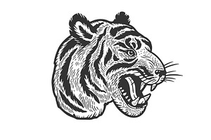 Tiger Head Tattoo Sketch Vector