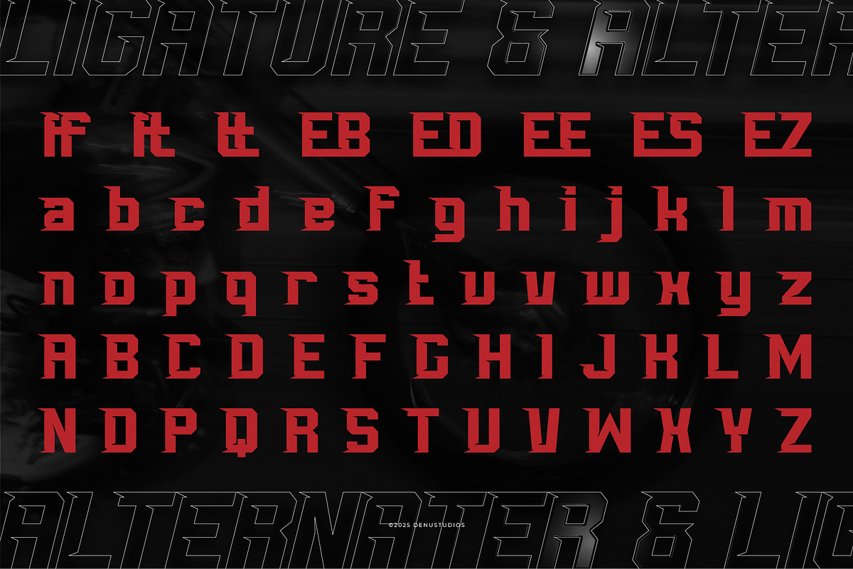 Karbu Speed | Bold Racing Font, a Sans Serif Font by Denustudios (Photo 11 of 12)