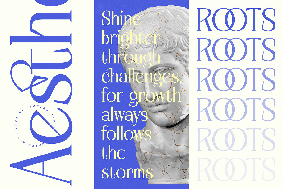 Alugfte Modern Display Serif, a Serif Font by timelesstype.co (Photo 15 of 20)