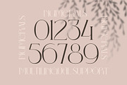Maroon Black, a Serif Font by Nirmana Visual (Thumbnail 4 of 11)