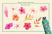 Tropical Botanical Watercolor, an Illustration by LazyArtyCat (Thumbnail 2 of 5)