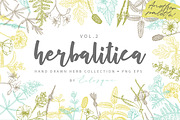 Herbalitica Vol.2 Flower Set, a Healthcare Illustration by eclosque (Thumbnail 9 of 12)