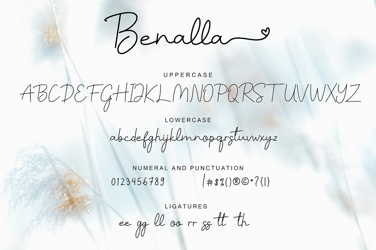 Benalla, a Script Font by AEN Creative Studio (Photo 7 of 8)