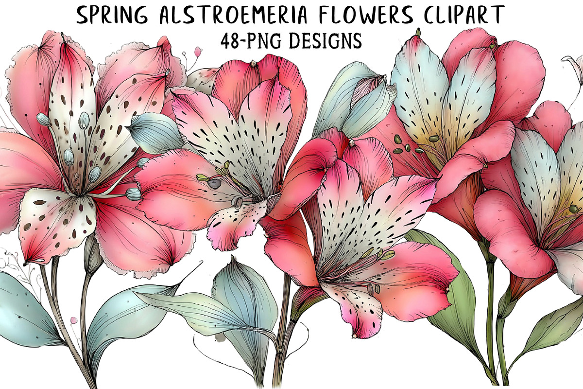 Spring Alstroemeria Flowers Clipart, an Illustration by Daily.Designs (Photo 1 of 8)