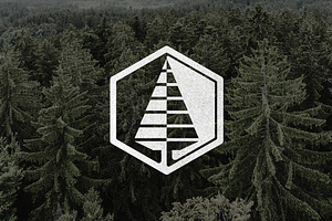 Linear Pine Tree Logo