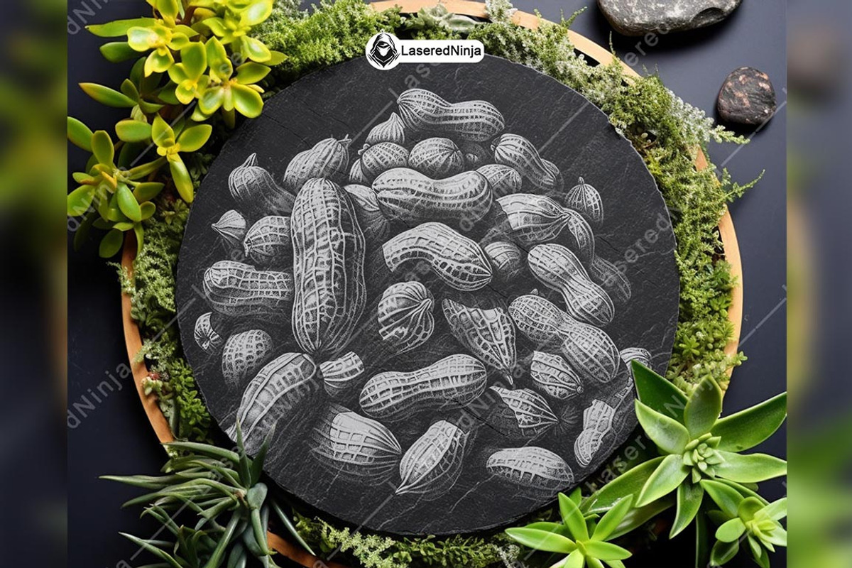 Peanut Groundnuts Root Nut Crop Plant