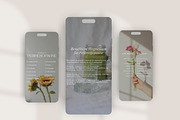 Menopause Canva Template Bundle, a Social Media Template by Naturopath Hub (Thumbnail 4 of 10)
