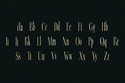 Alqeon, a Serif Font by zaaintype (Thumbnail 3 of 9)
