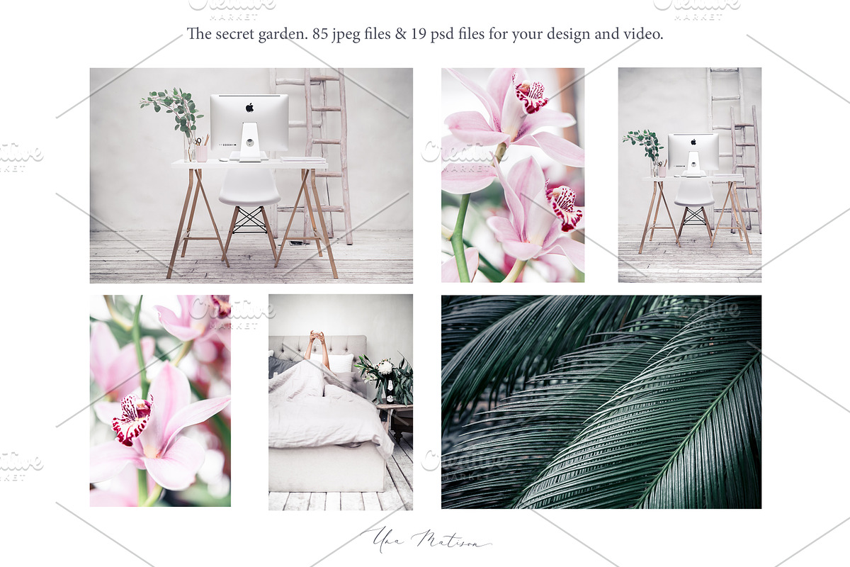 Photo bundle+bonus, a Social Media Template by Una Matison (Photo 3 of 21)