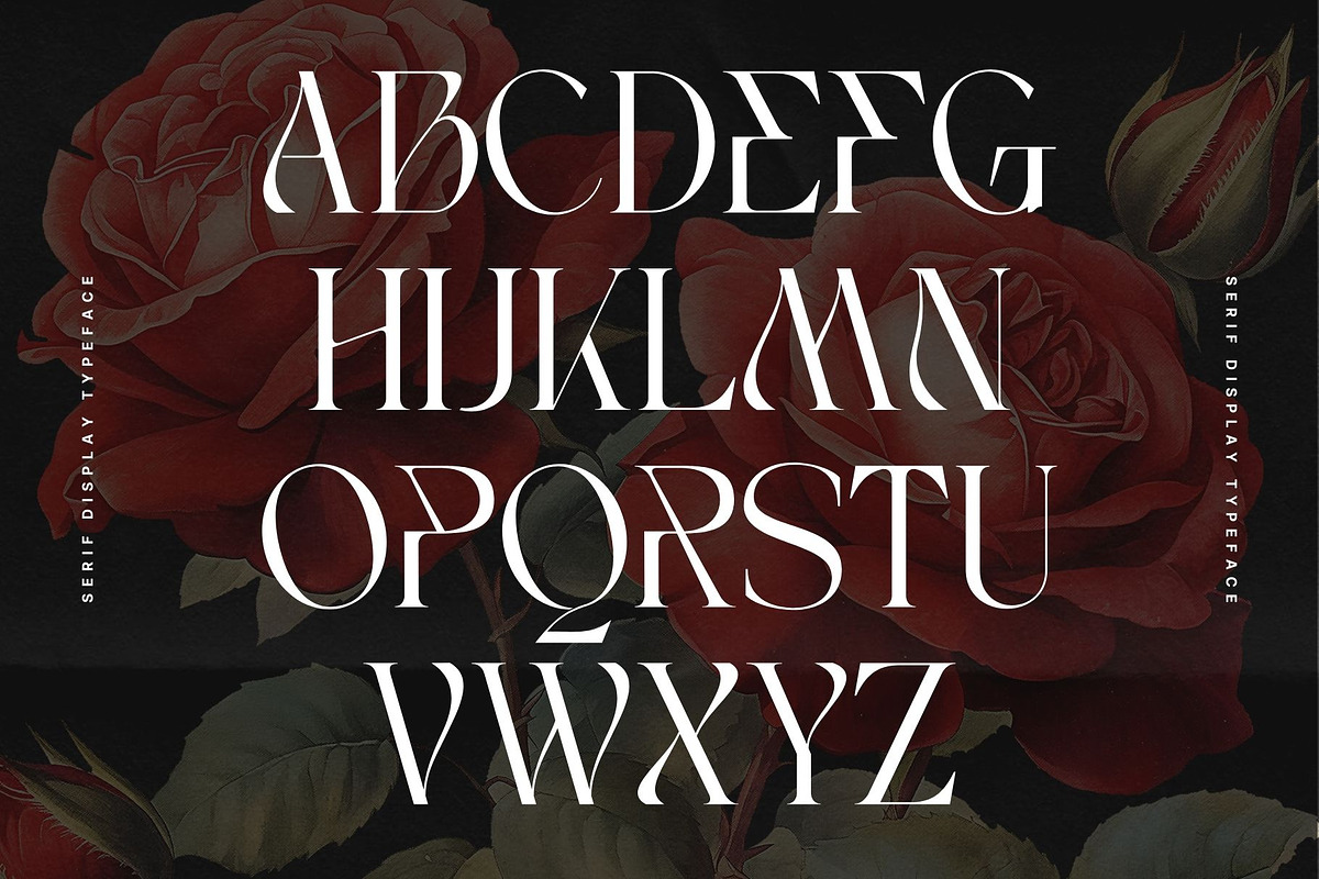 Bagek - Modern Display Serif, a Serif Font by Nirmana Visual (Photo 4 of 8)