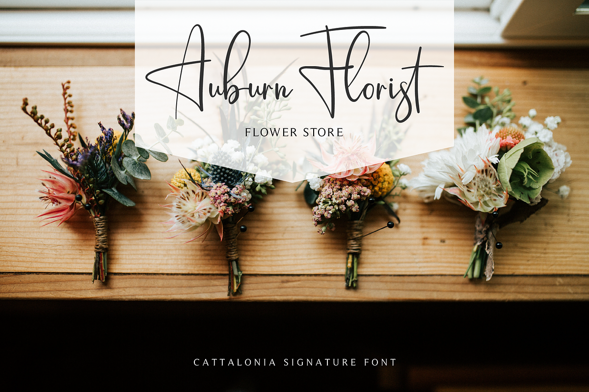 Cattalonia Signature Font, a Script Font by Pen Culture (Photo 4 of 11)