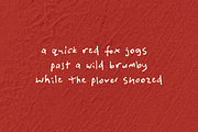 Prickly Pear Desert Handwriting Font, a Handwritten Font by TYPEHEIST (Thumbnail 8 of 11)