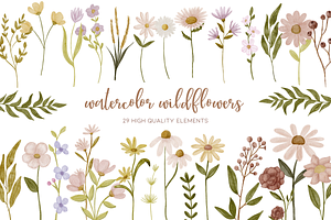 Watercolor Wild Flower Clipart