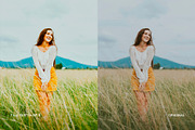 Fuji Fortia SP II, a Preset Add-On by colorituals (Thumbnail 5 of 8)