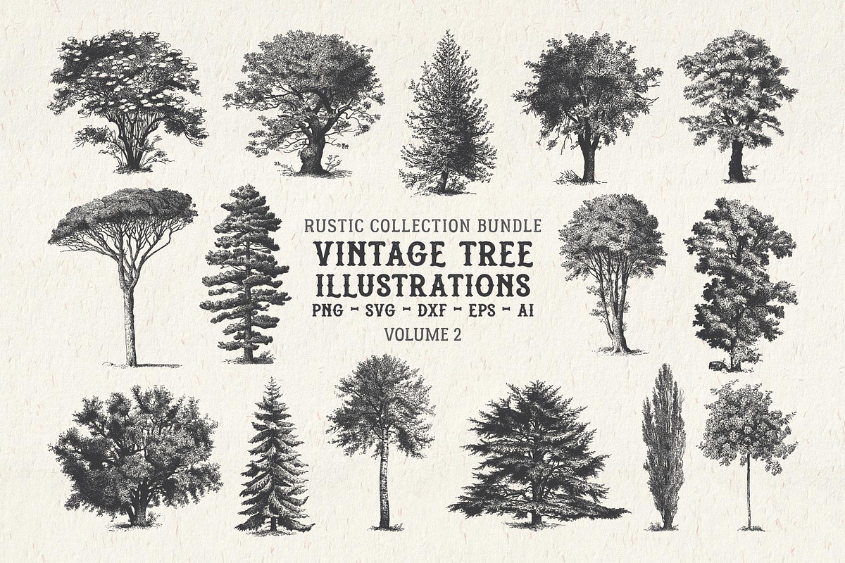 Vintage Tree Vector Bundle Vol. 2, an Object Illustration by Seaquint (Photo 1 of 5)