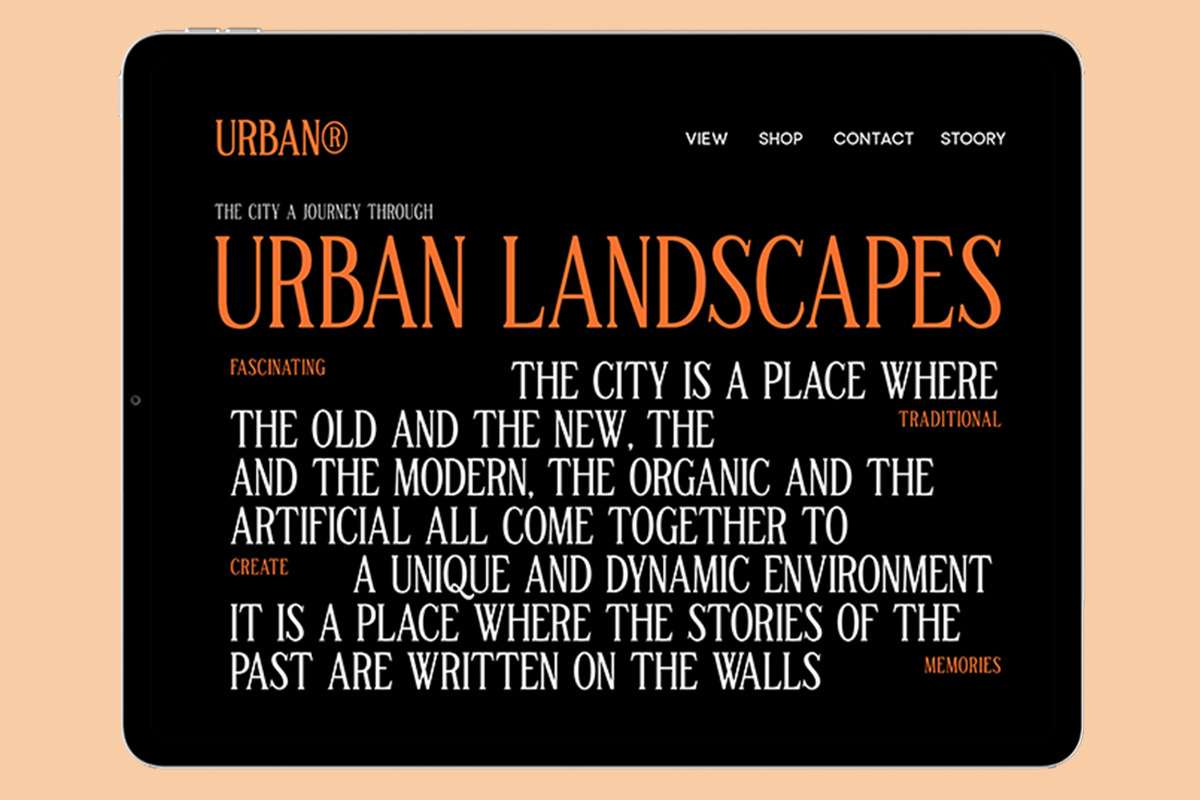 TBJ Malta 9-Font Family, a Serif Font by Taboja Studio (Photo 7 of 16)