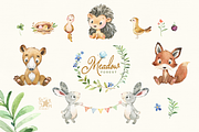 Forest Meadow Collection, an Animal Illustration by StarJam (Thumbnail 2 of 6)