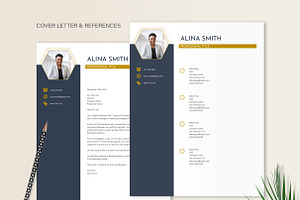 Resume Template Navy Gold