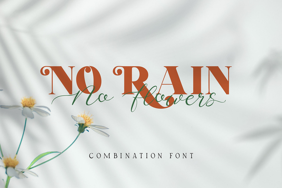 Brohillo Font Duo, a Script Font by alit design (Photo 5 of 30)