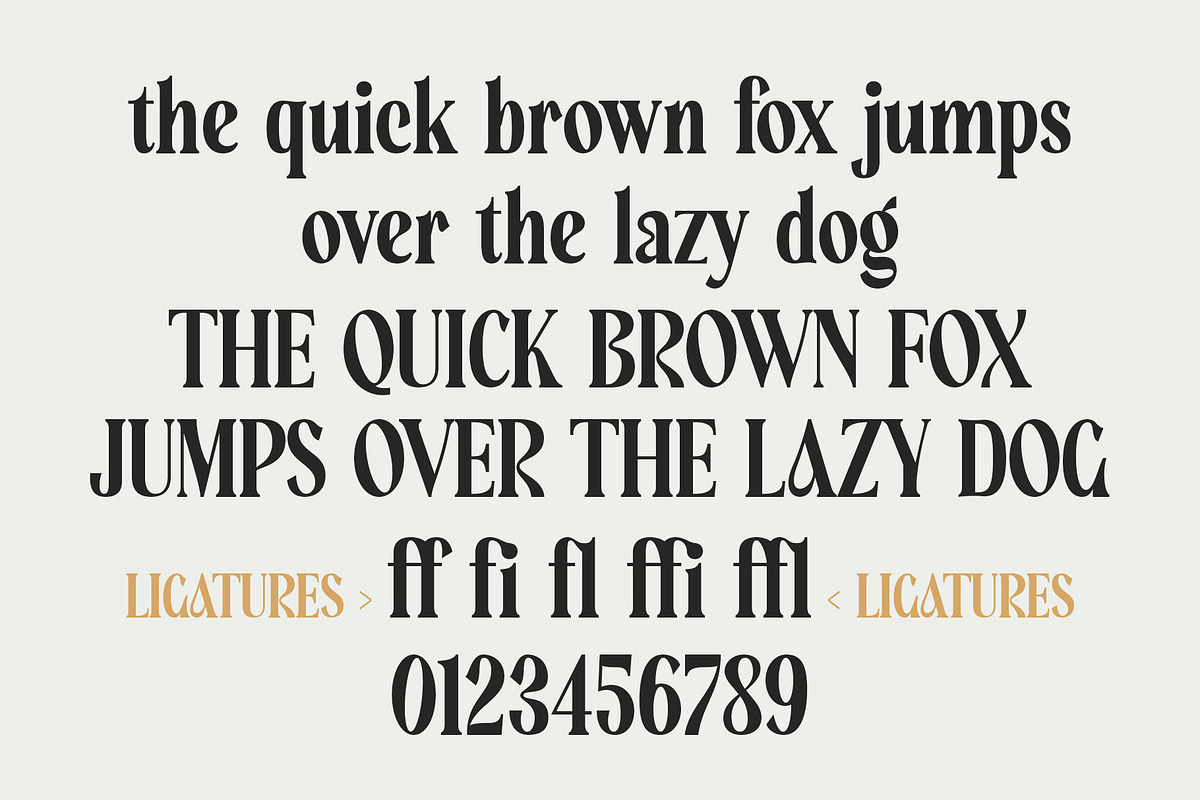 Broden Display - Unique Modern Serif, a Serif Font by Myn Type (Photo 16 of 16)