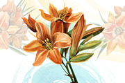 Watercolor flowers set - Lilies, a Texture Illustration by My art shop (Thumbnail 3 of 4)
