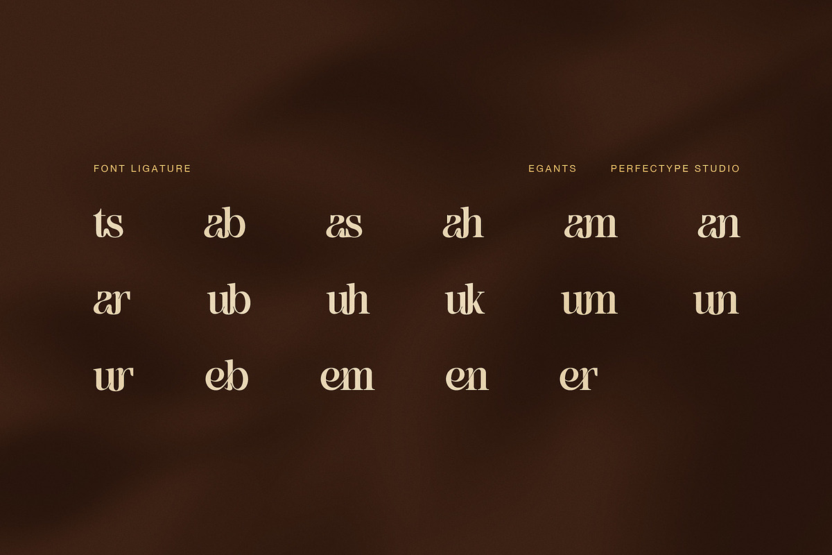 Egants Elegant Serif Font, a Serif Font by Perfectype (Photo 8 of 8)
