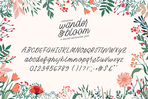 Wander And Bloom Script Font