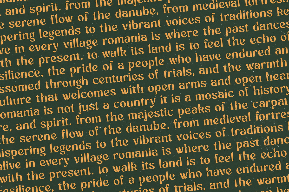Bottarie Freestyle Display Font, a Serif Font by timelesstype.co (Photo 16 of 20)