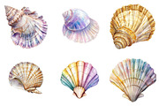 Watercolor Seashell Clipart Bundle, an Illustration by Pixels.Craft (Thumbnail 6 of 7)