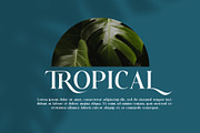 Bezoria - Elegant Serif Font, a Sans Serif Font by RHD Creative Studio (Thumbnail 4 of 9)