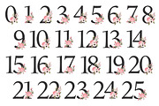 Soft Pink Floral Number Vectors, an Illustration by Amanda Ilkov (Thumbnail 5 of 5)