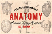100 Vintage Anatomy Vectors, an Illustration by Brigantine Designs (Thumbnail 1 of 7)