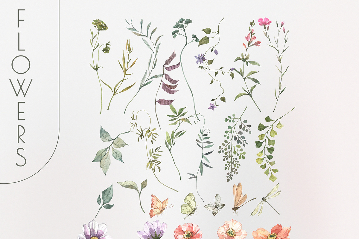 SERENITY Wild flowers collection, a Decorative Illustration by Anastezia Luneva (Photo 8 of 9)