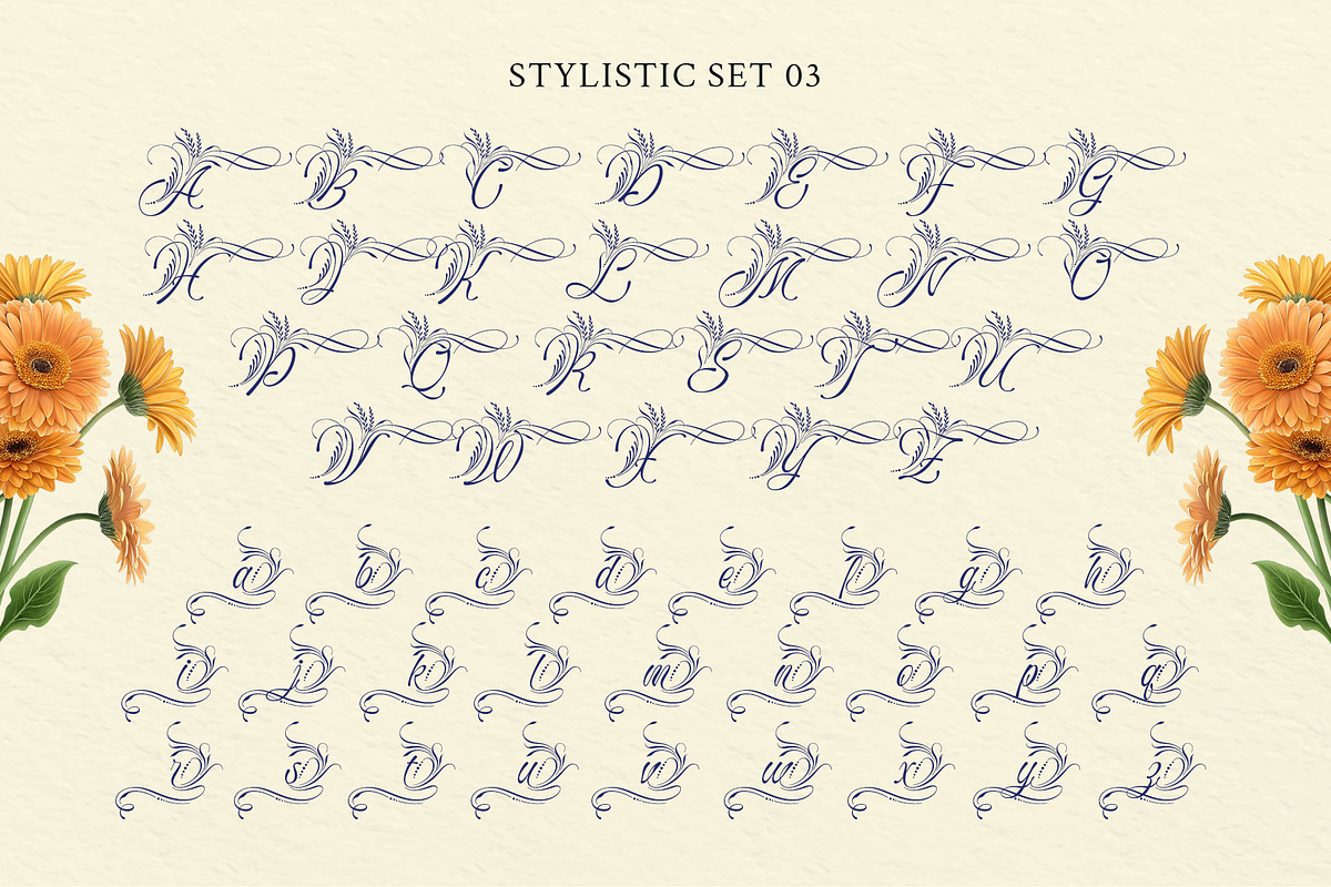 Bredlive Typeface, a Script Font by alit design (Photo 9 of 20)