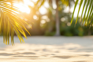 Beautiful background of exotic tropical beach with palm trees an, a Photo by Dvoevnore photos