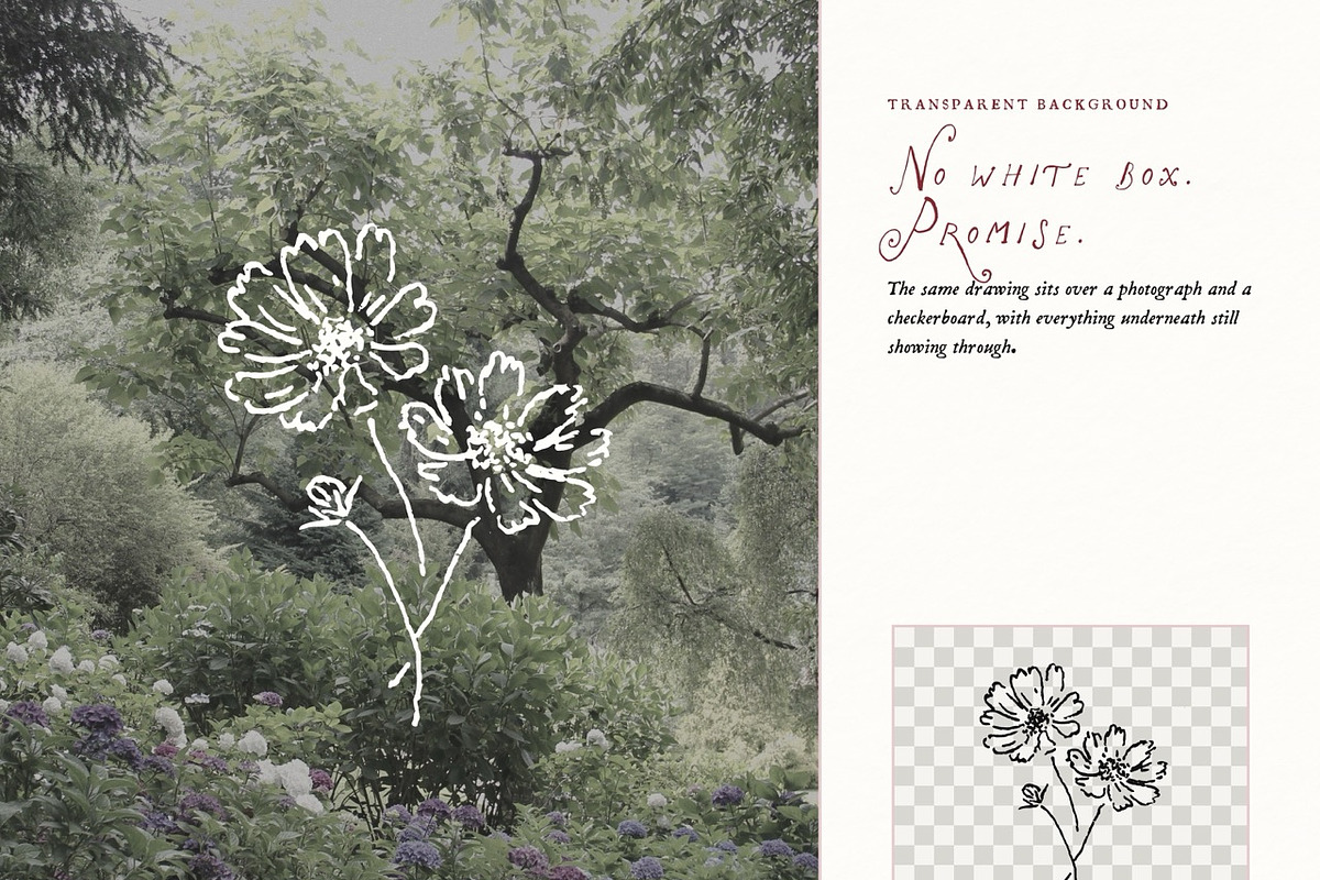 Spring Floral Doodle Line Art Bundle, an Object Illustration by The October Creative (Photo 12 of 13)
